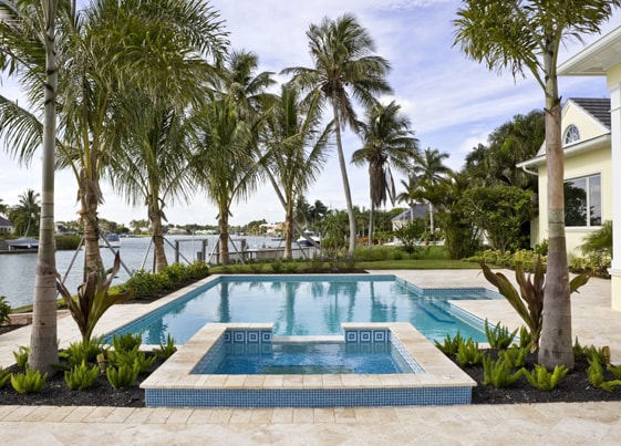 Pool surrounded by palm trees in Florida